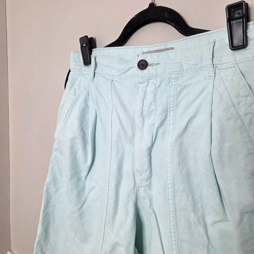 EVERLANE Blue Hight Waist Pleated Tourist Shorts